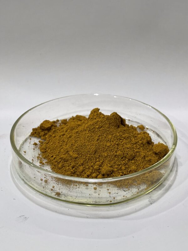 Iron Oxide Yellow Elephant (হাতি এলামাটি) - Image 2