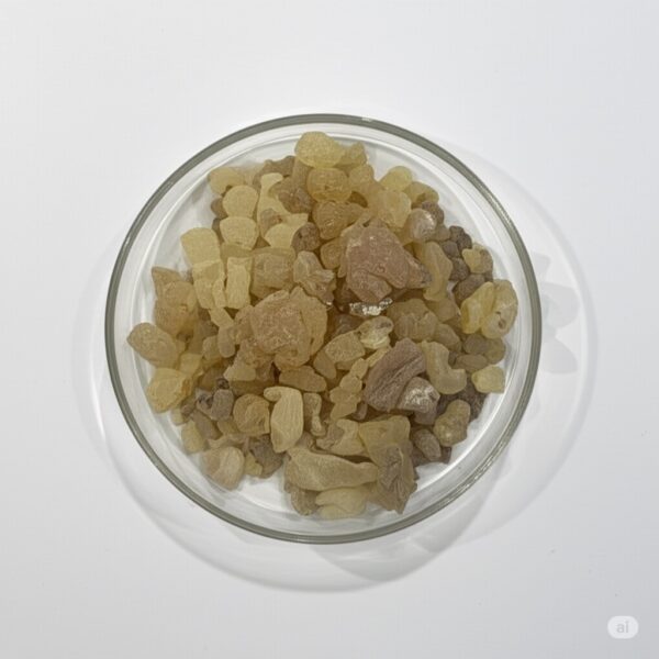 Gum Copal (কারফা) - Image 3